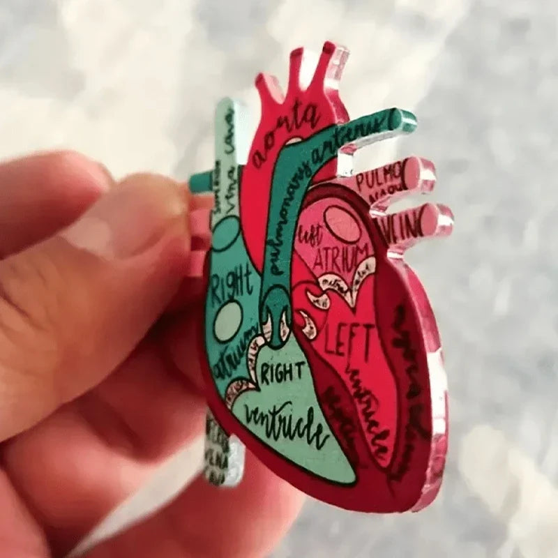 Heart Diagram Nurse Badge Reel